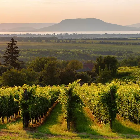 Unit_type_semidetached_house 54984 Dom wakacyjny *